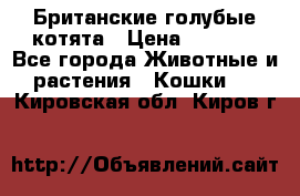 Британские голубые котята › Цена ­ 5 000 - Все города Животные и растения » Кошки   . Кировская обл.,Киров г.